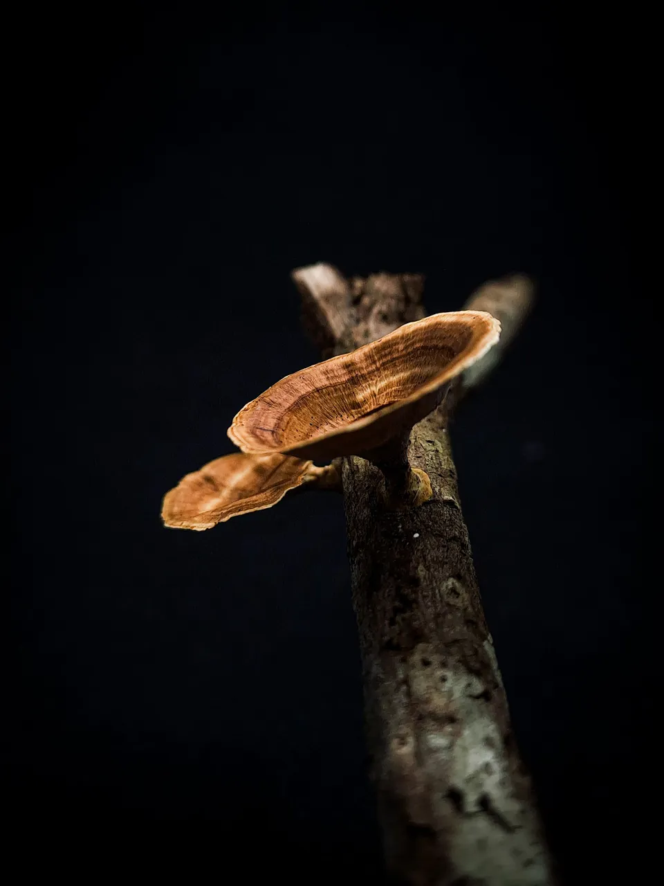 20231125_220246.jpg