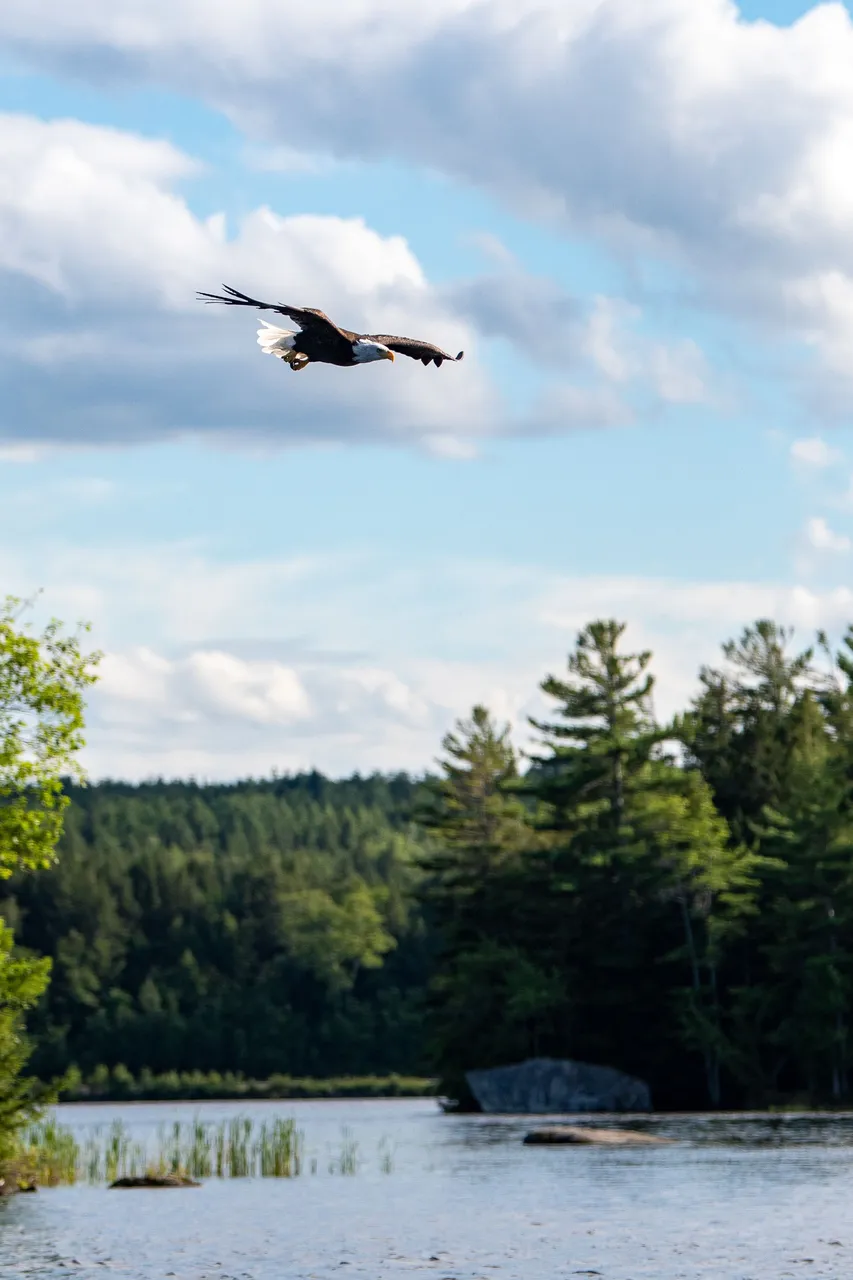 pexels-bruce-mclean-9825415.jpg