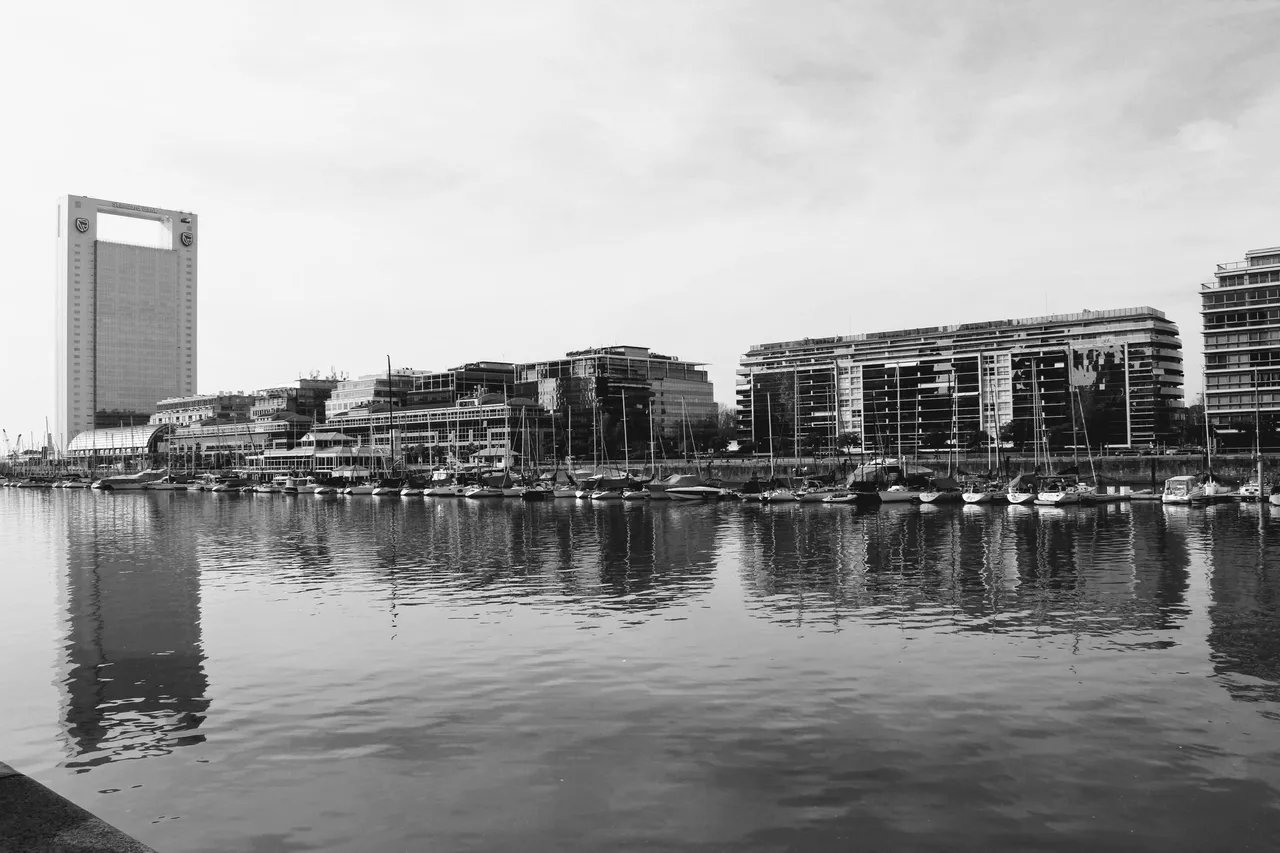IMG_3784.jpg