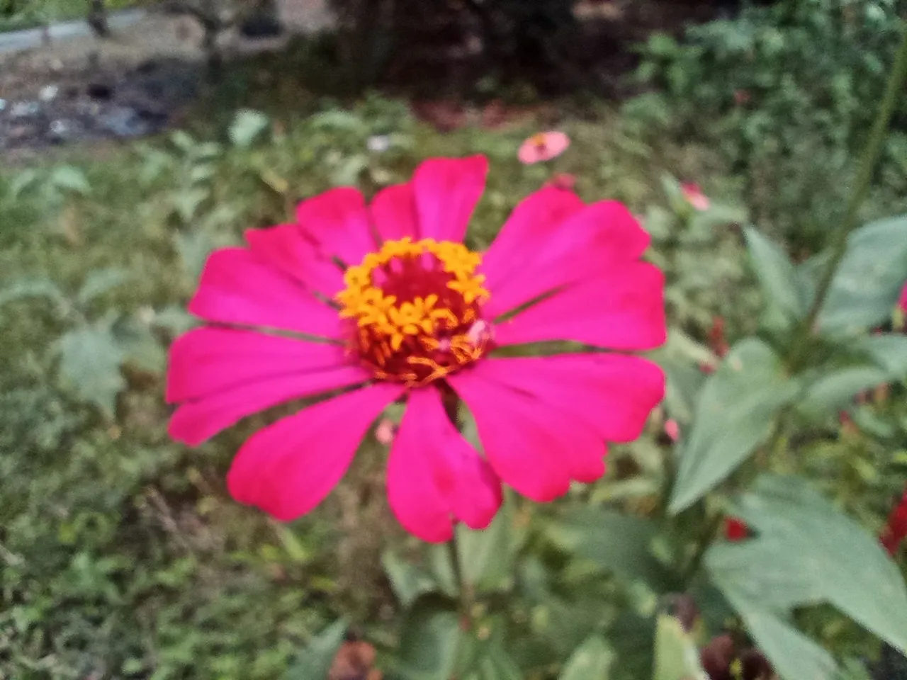 IMG_20220502_141240.jpg