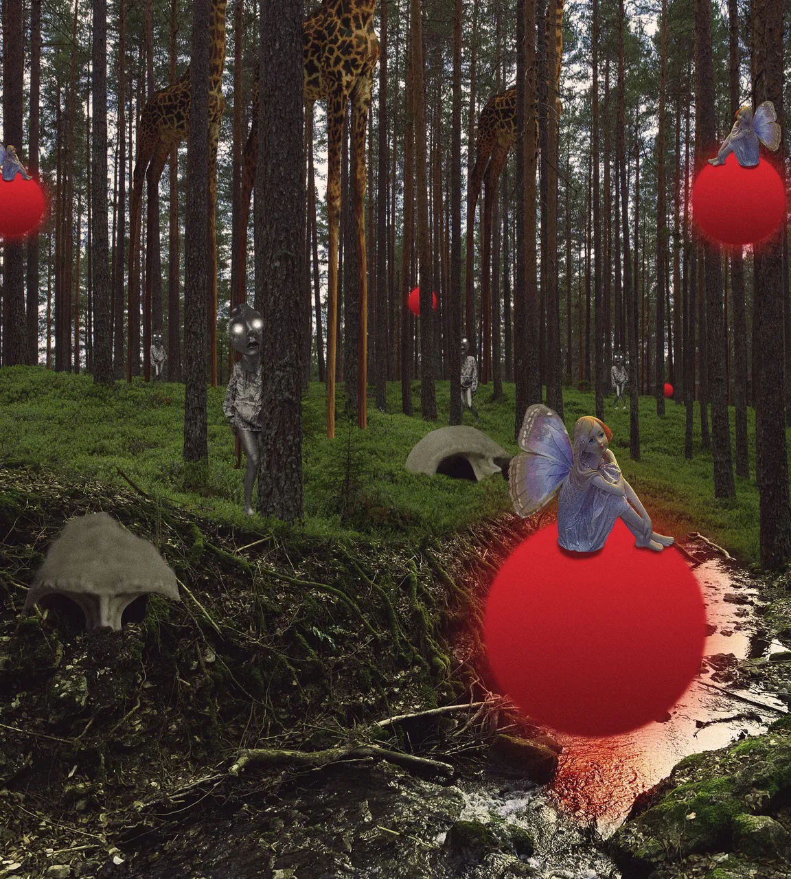 woodss.jpg