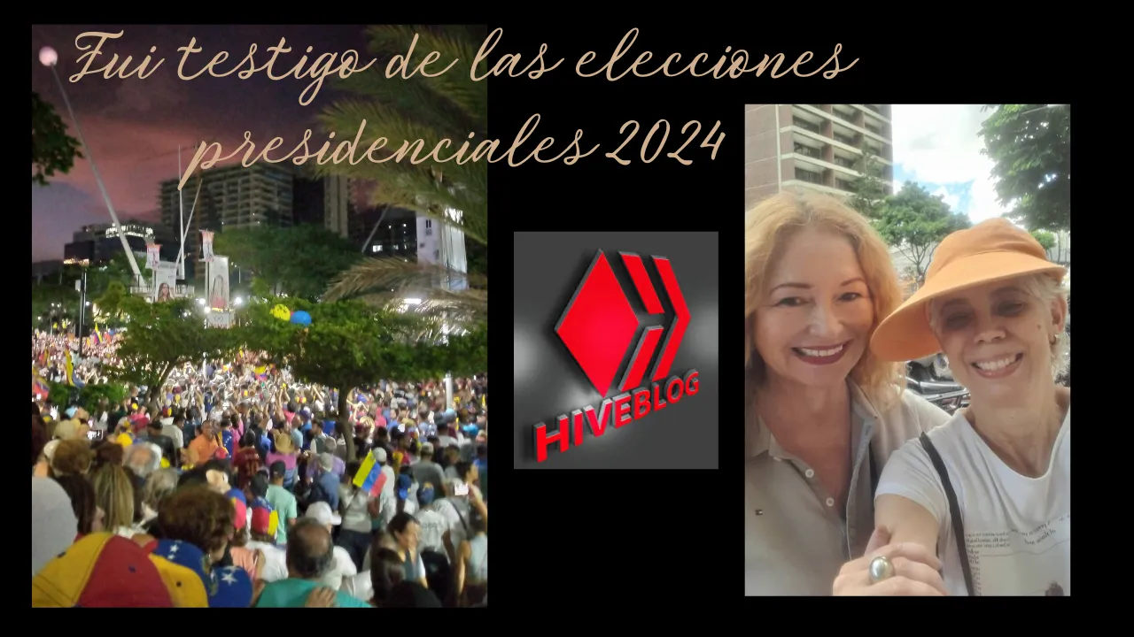 Fui testigo de las elecciones presidenciales 2024.png