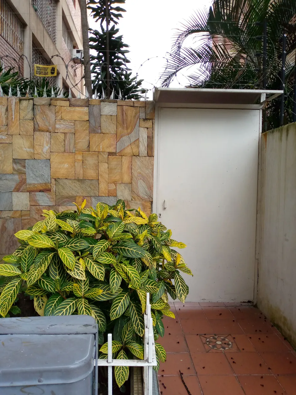 PUERTA 1.jpg