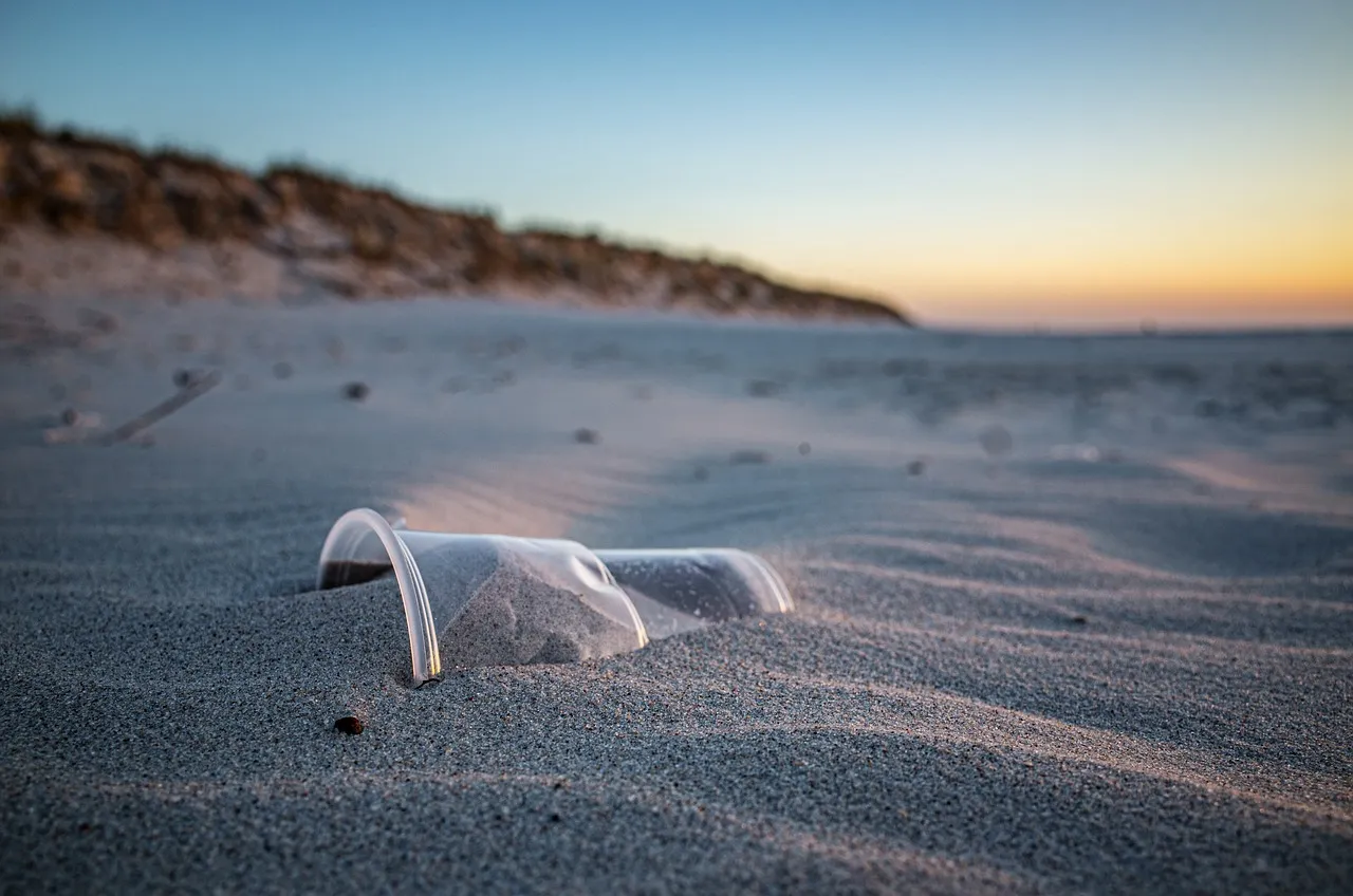 beach-5697987_1280.jpg