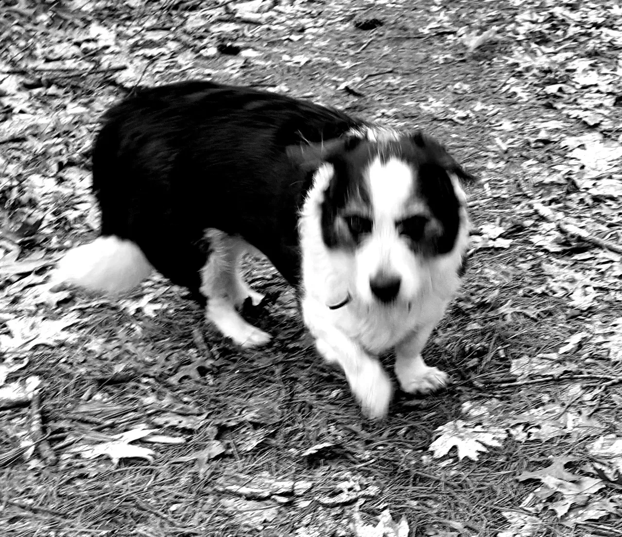 PXL_20230325_114158730_modified.jpg