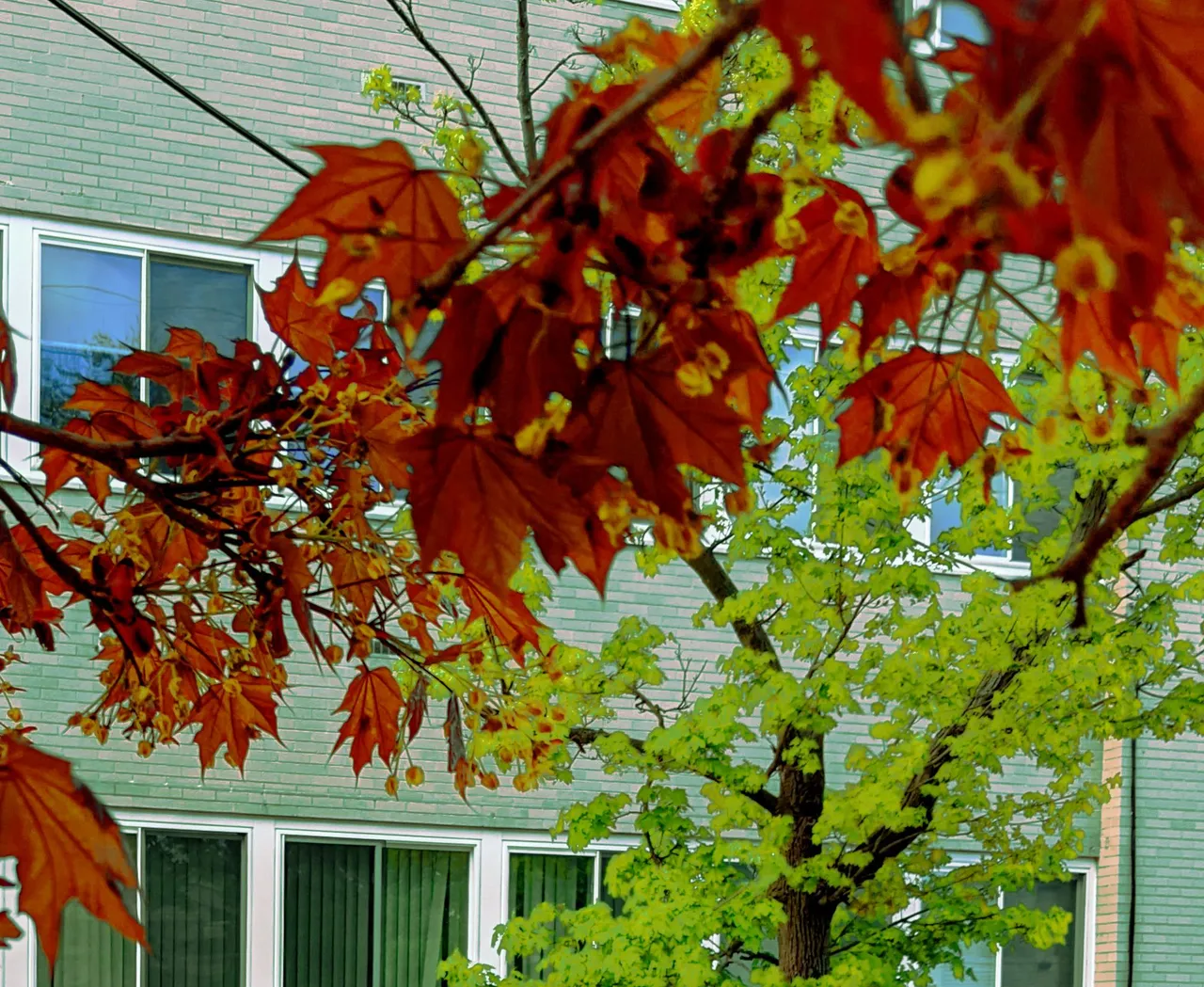 PXL_20230424_213824182.MP_modified.jpg