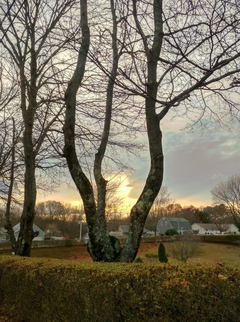 IMG_20201117_152234_HDR_modified.jpg