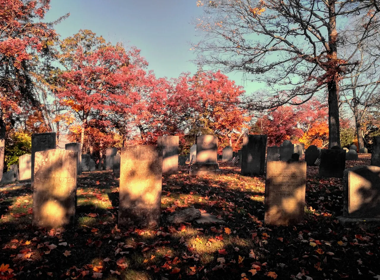 IMG_20201023_155119_HDR_modified.jpg