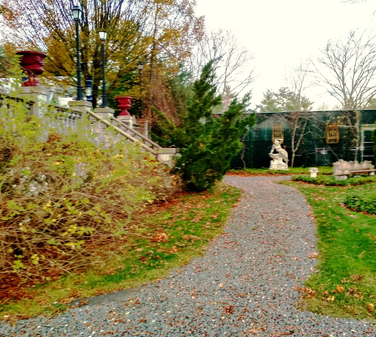 IMG_20201117_154630_HDR_modified.jpg