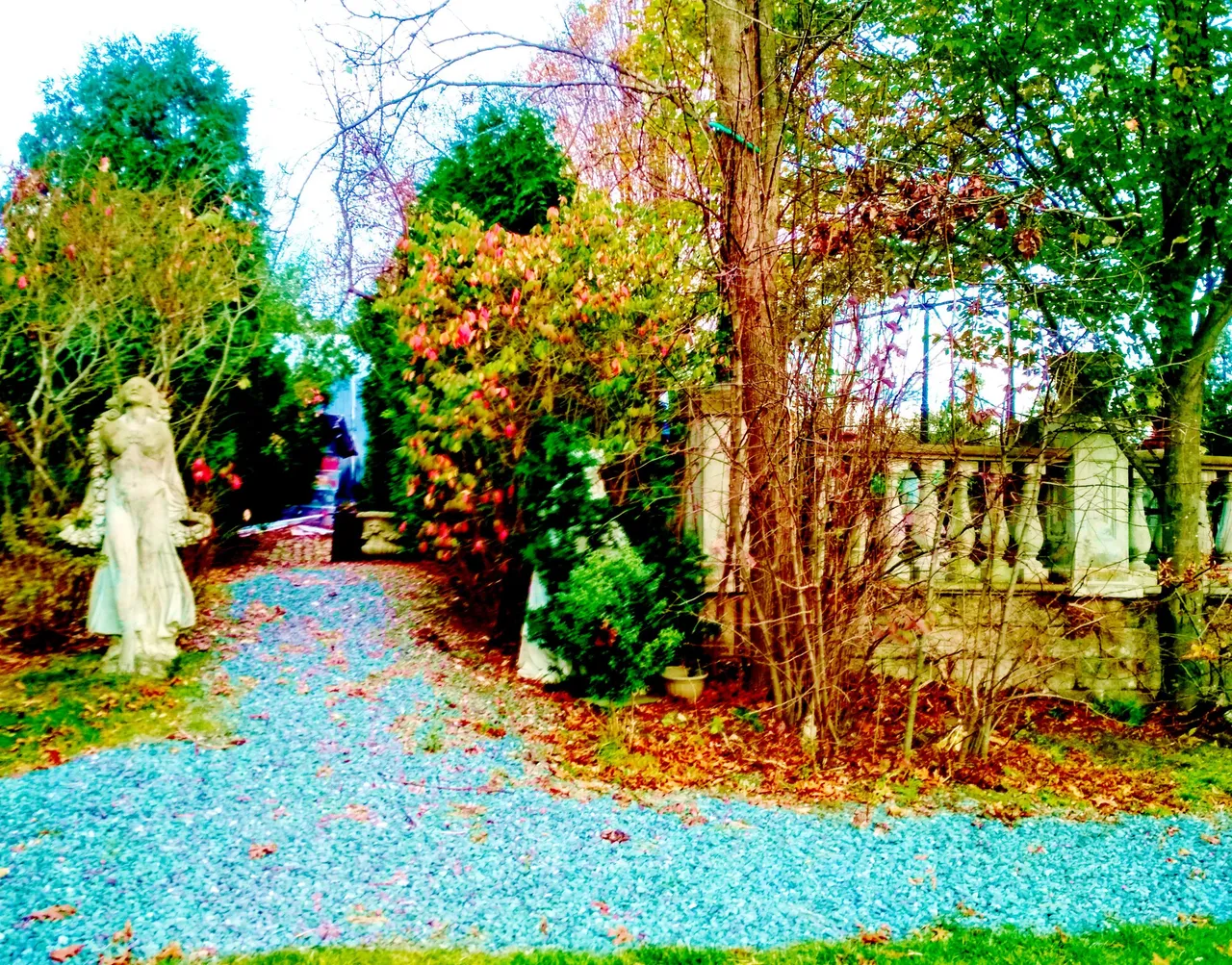 IMG_20201117_154651_HDR_modified.jpg