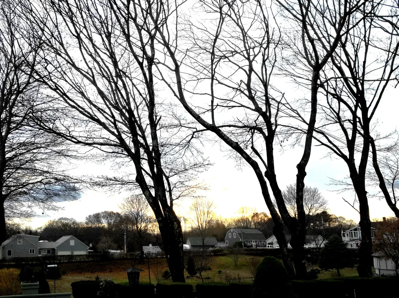 IMG_20201117_152209_HDR_modified.jpg