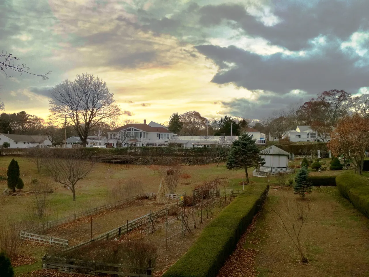 IMG_20201117_152253_HDR_modified.jpg