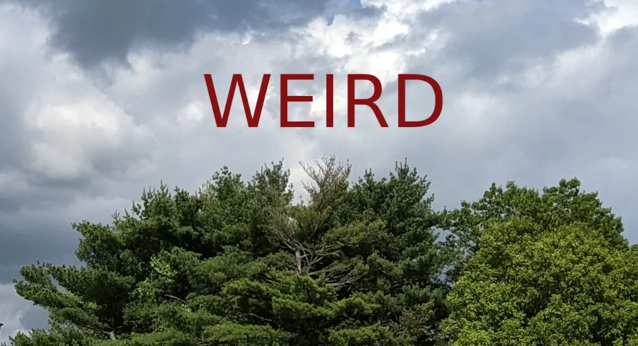 weird-20210630.png