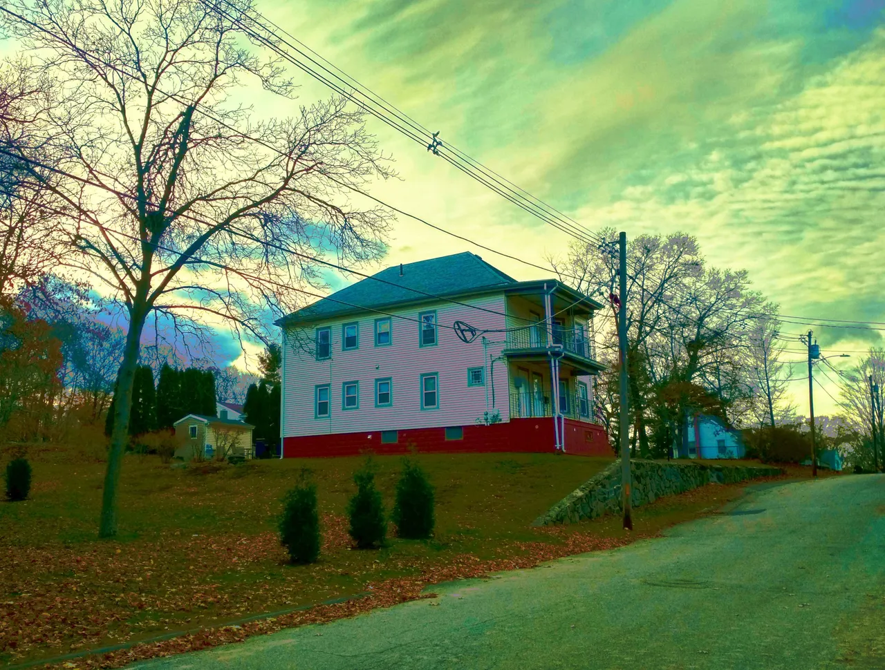 IMG_20201117_145915_HDR_modified.jpg