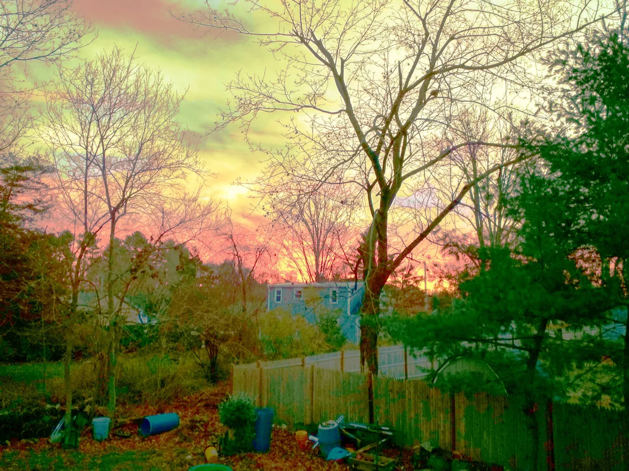 IMG_20201117_063217_HDR_modified.jpg