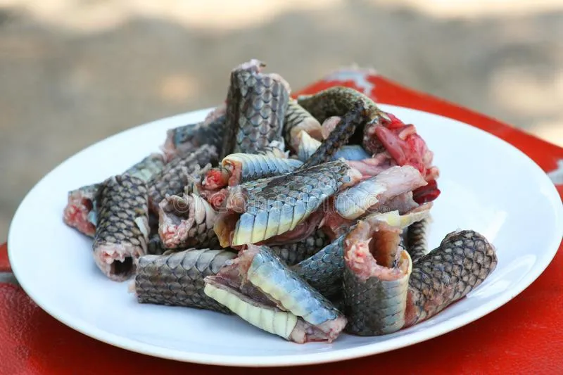 close-up-slice-snake-meat-dish-indochinese-rat-snake-prepared-cooking-slice-snake-meat-dish-indochinese-rat-snake-134268218.jpg