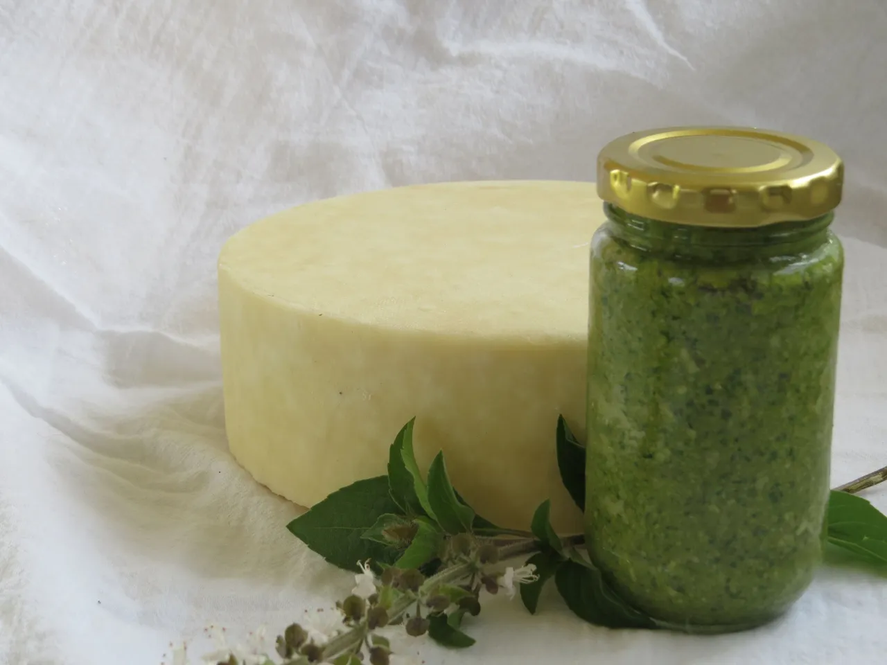 Goshna Cotja and Pesto 012.JPG