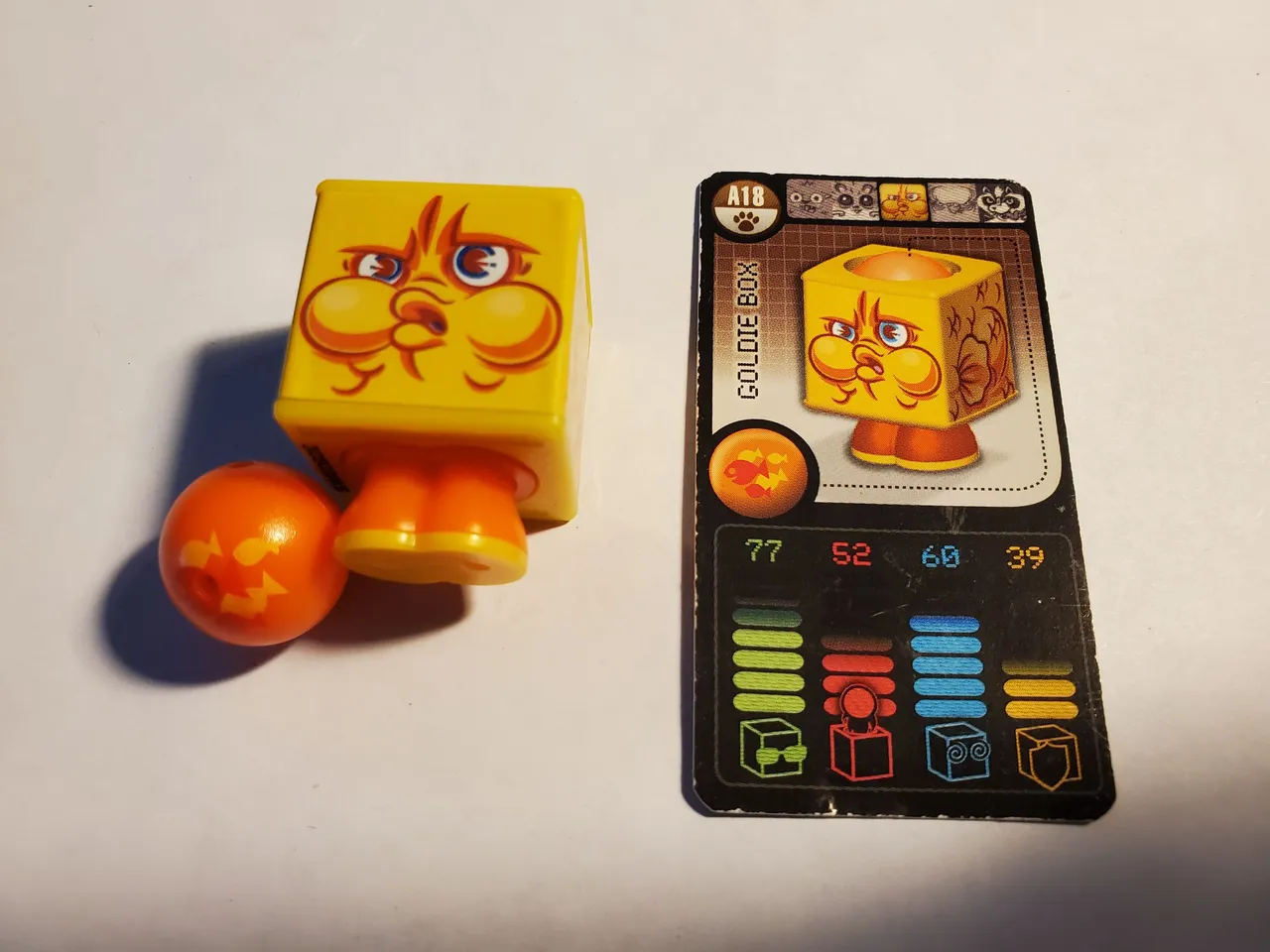 20220924_165817.jpg