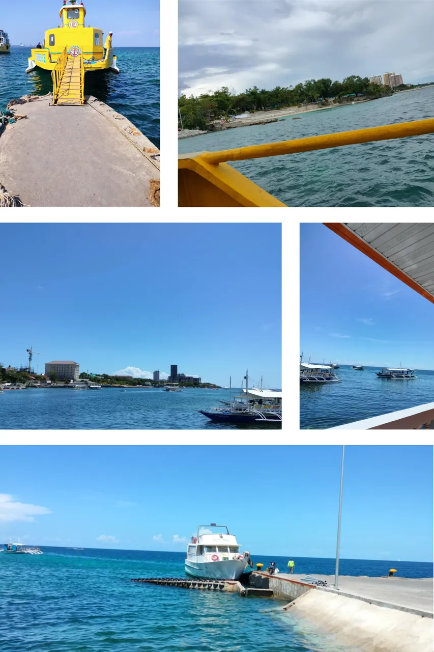 Untitled design (15).png