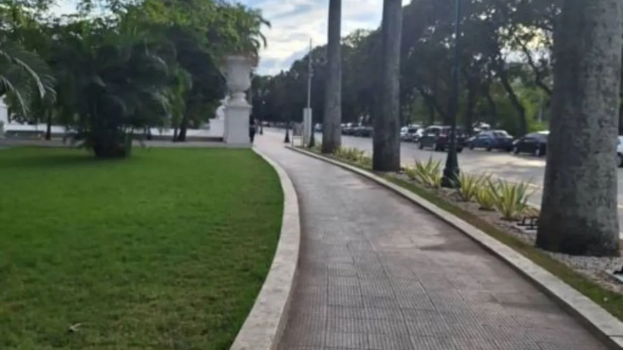 De vuelta con un nuevo comienzo (2).jpg