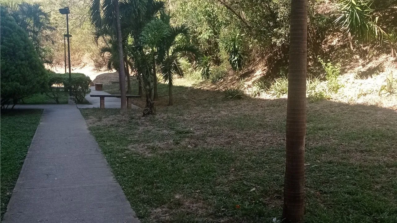 Diseño sin título.jpg