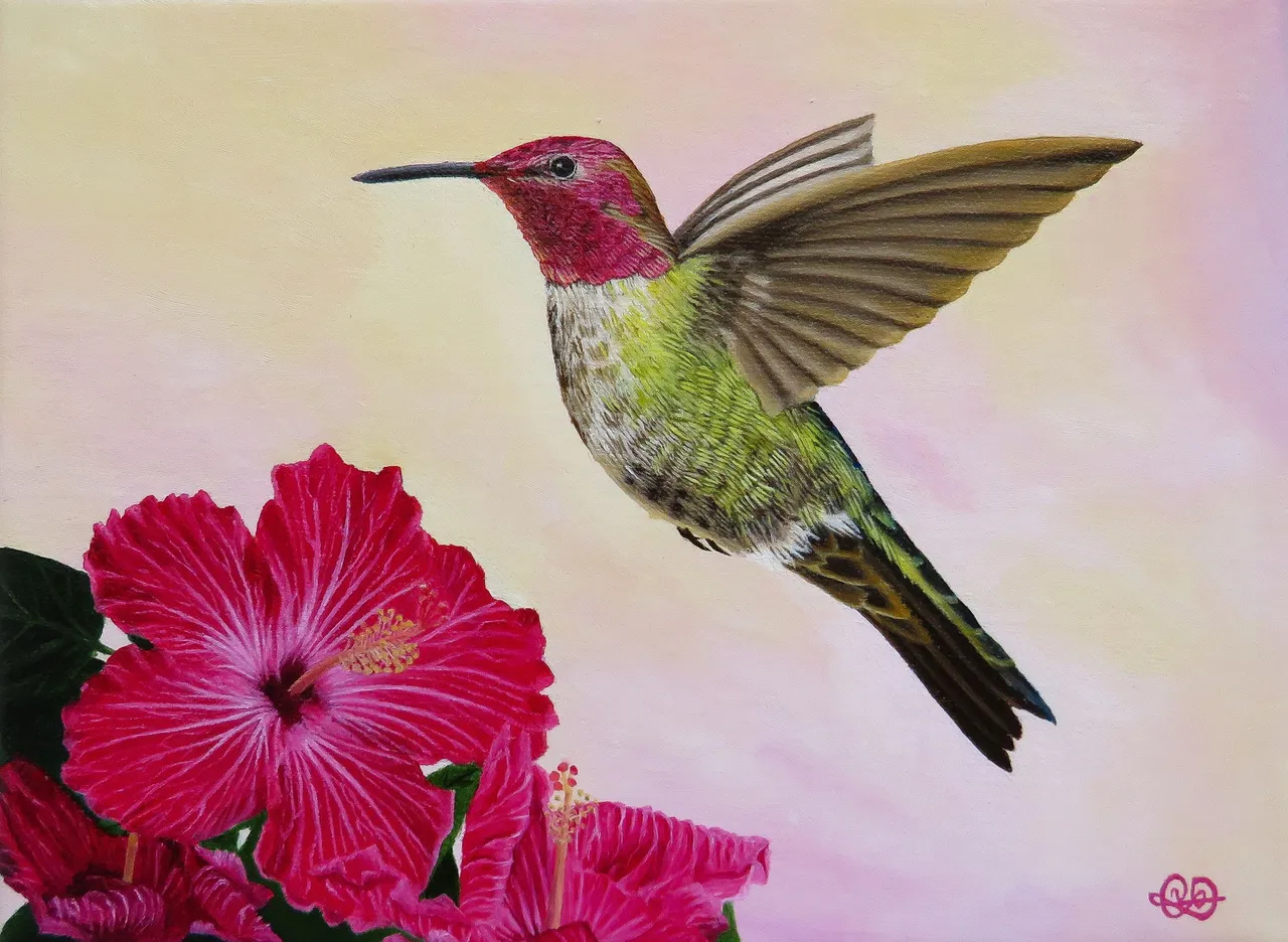 Colibri3.jpg