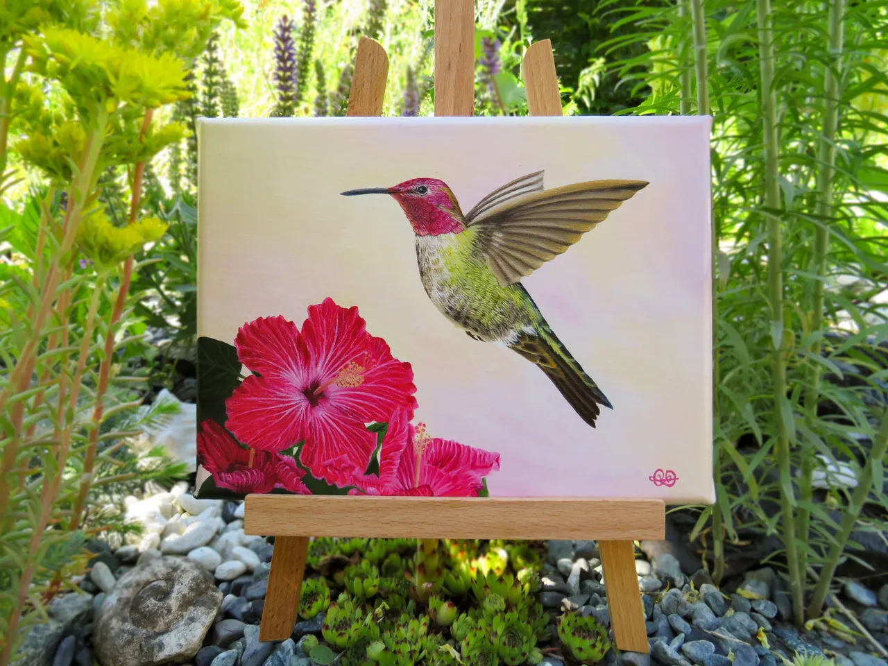 Colibri7.jpg