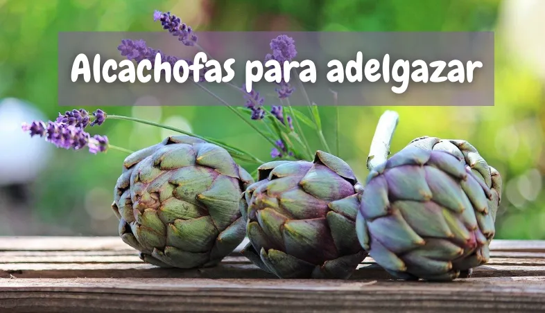 Alcachofas para adelgazar.png