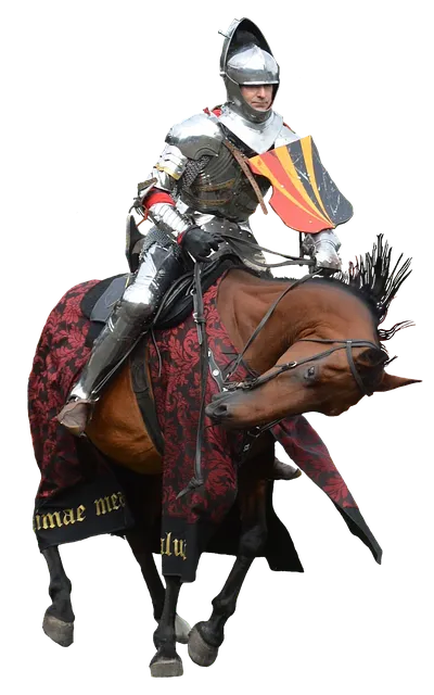 horse-2367693_640.png