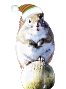 ec7c5810_b3a3_4e33_9920_3431d5c8a47c.png