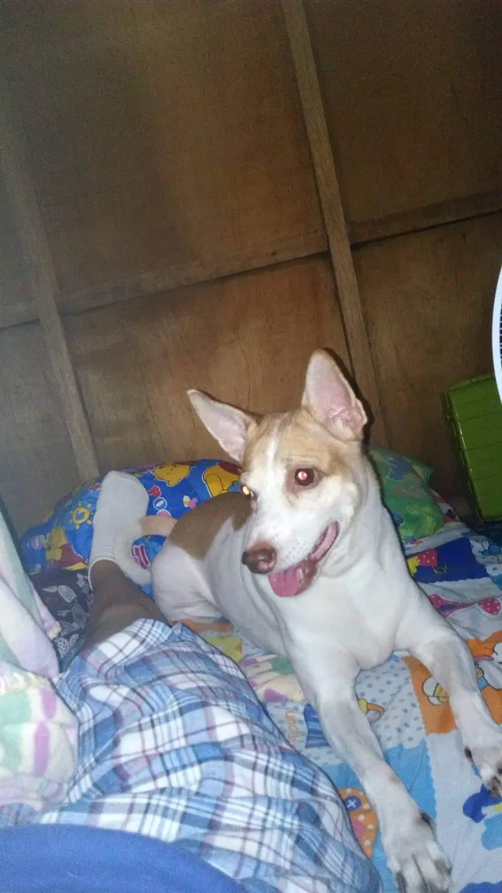 received_694970594660667.jpeg