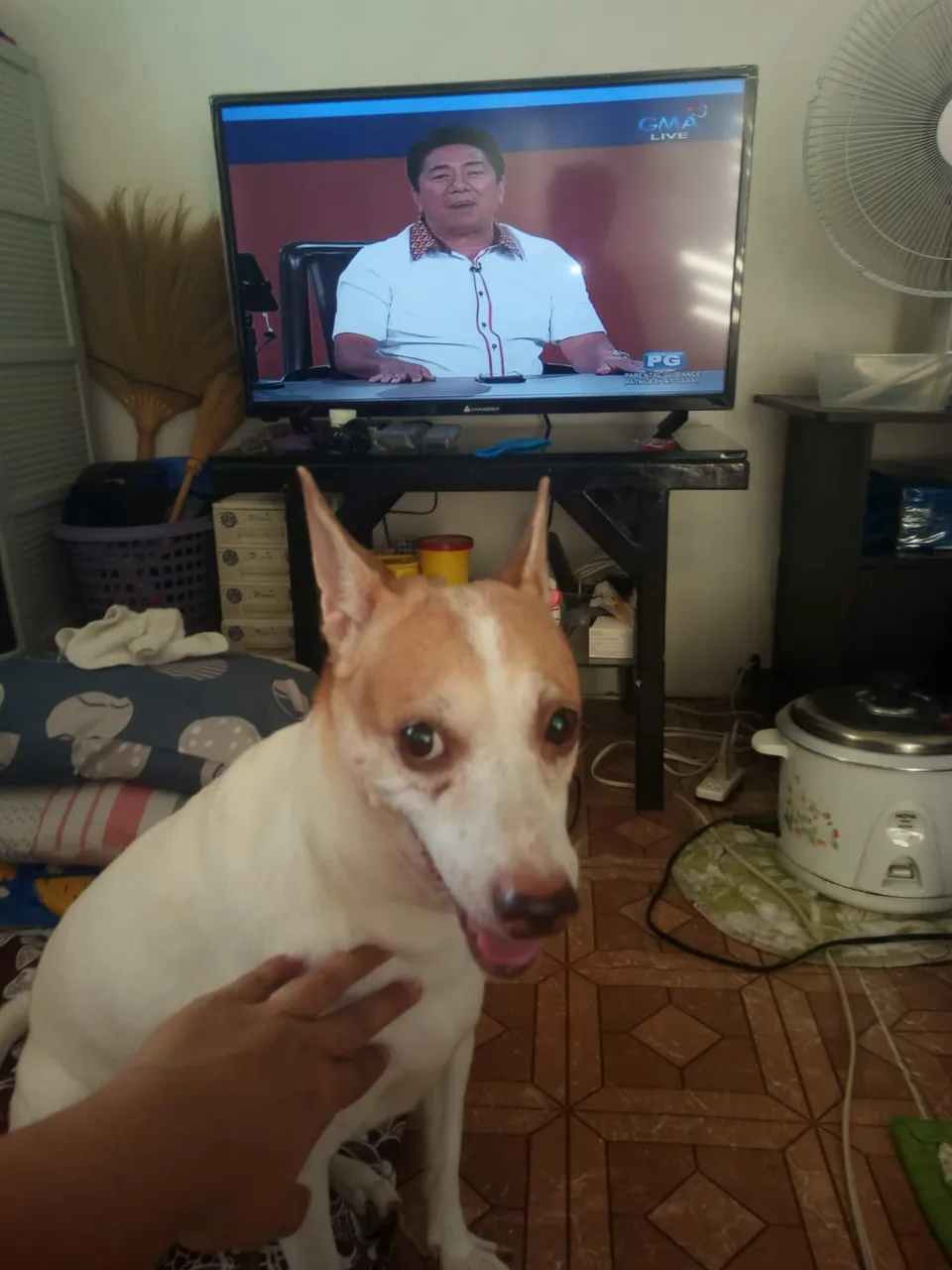 received_125422439672826.jpeg