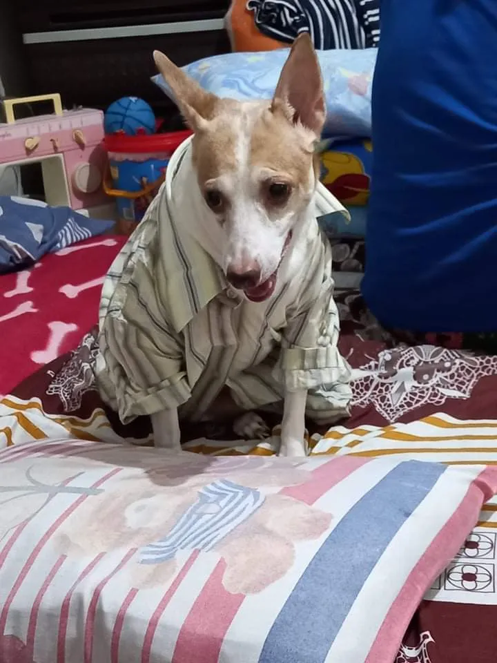 received_1271789603329311.jpeg
