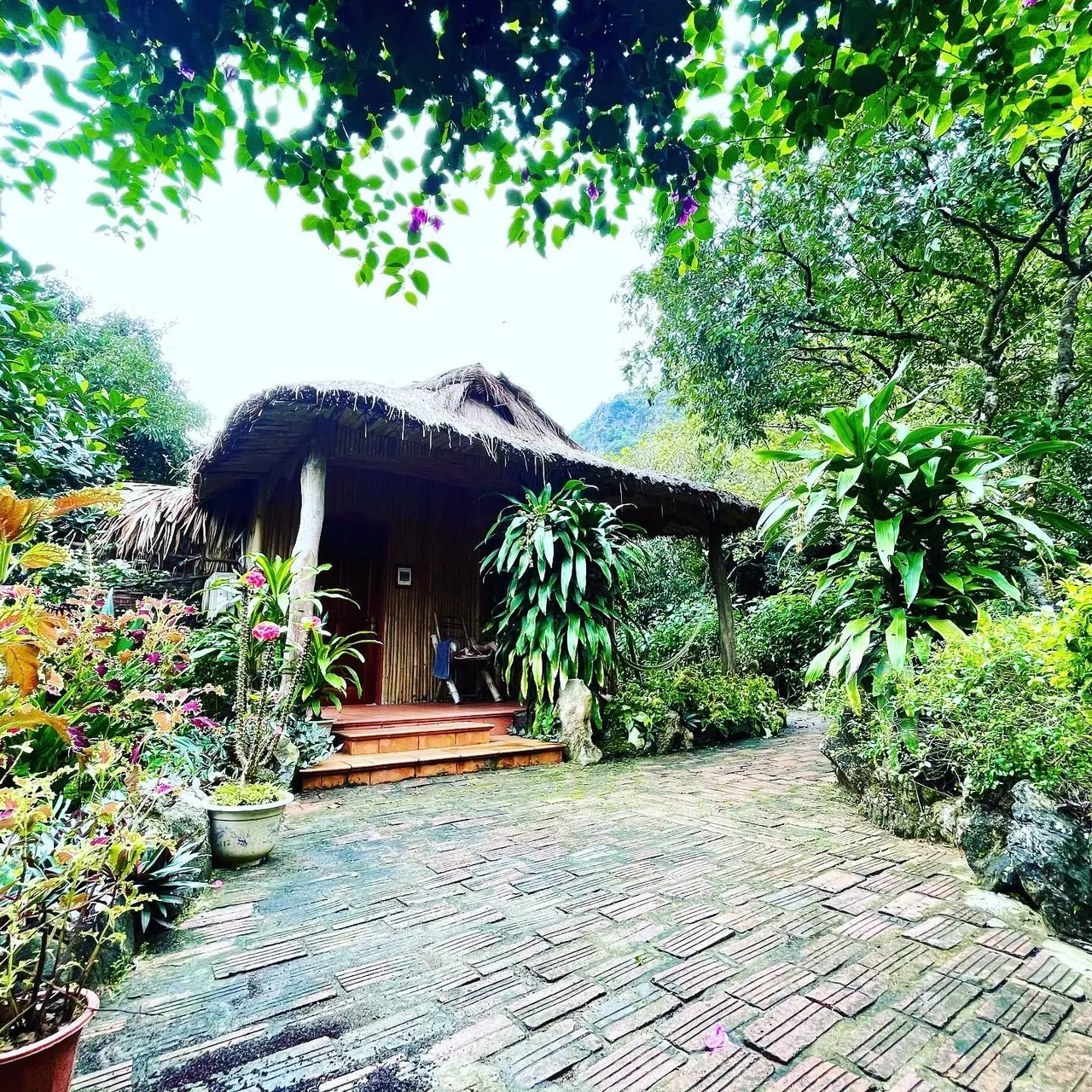 Lan-homestay-4.jpg