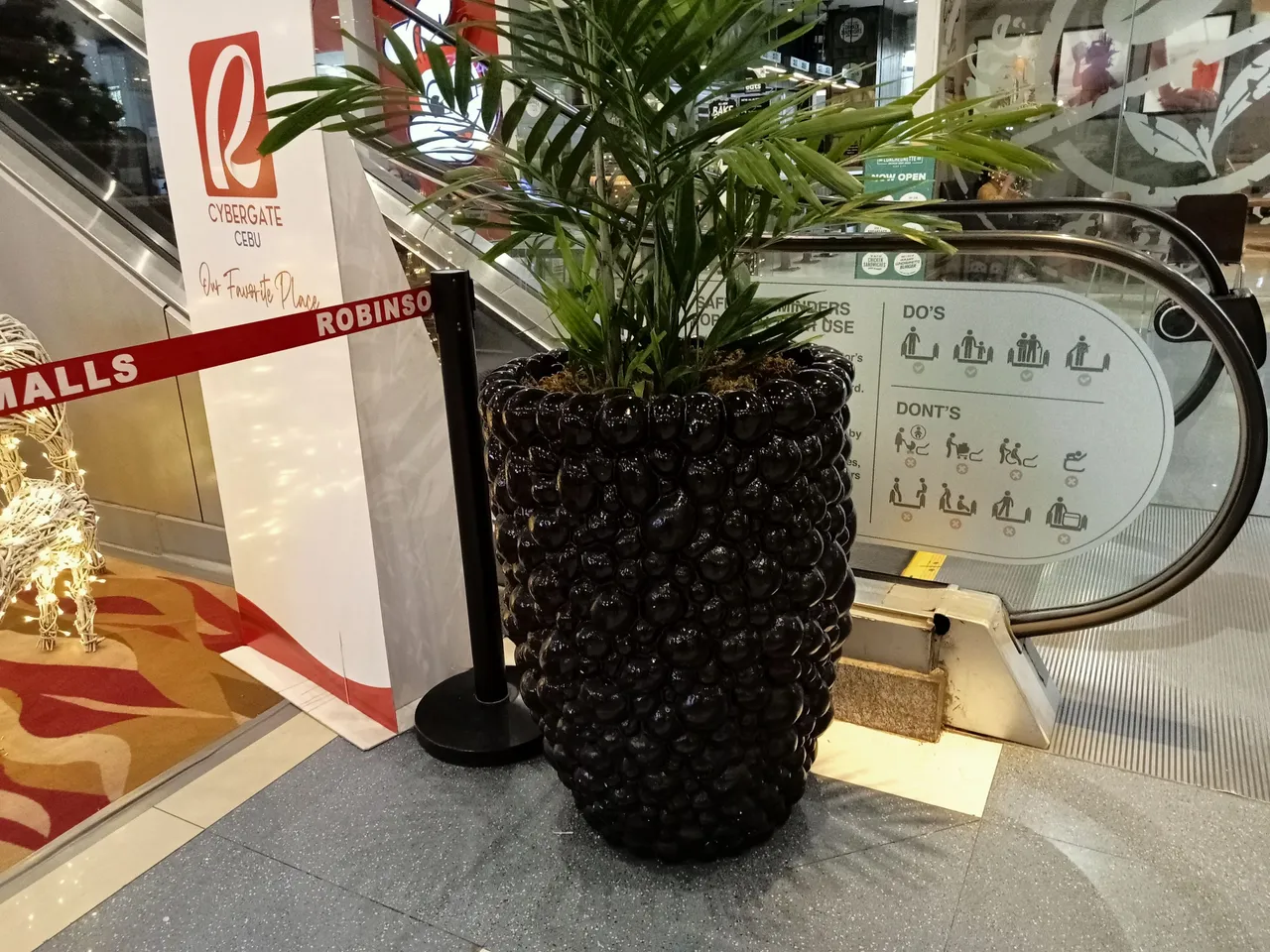 IMG20231109152319.jpg