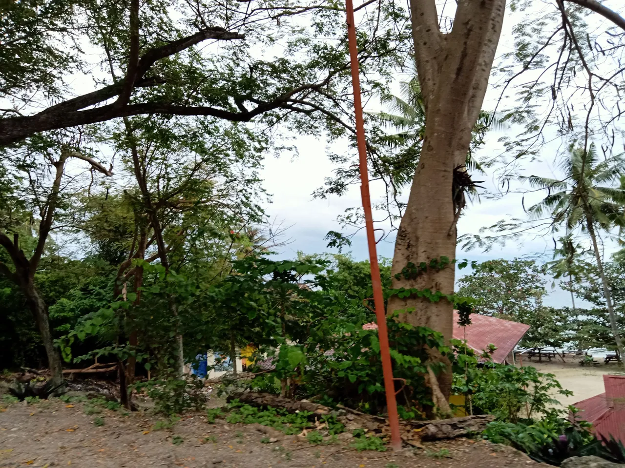 IMG20240109132254.jpg