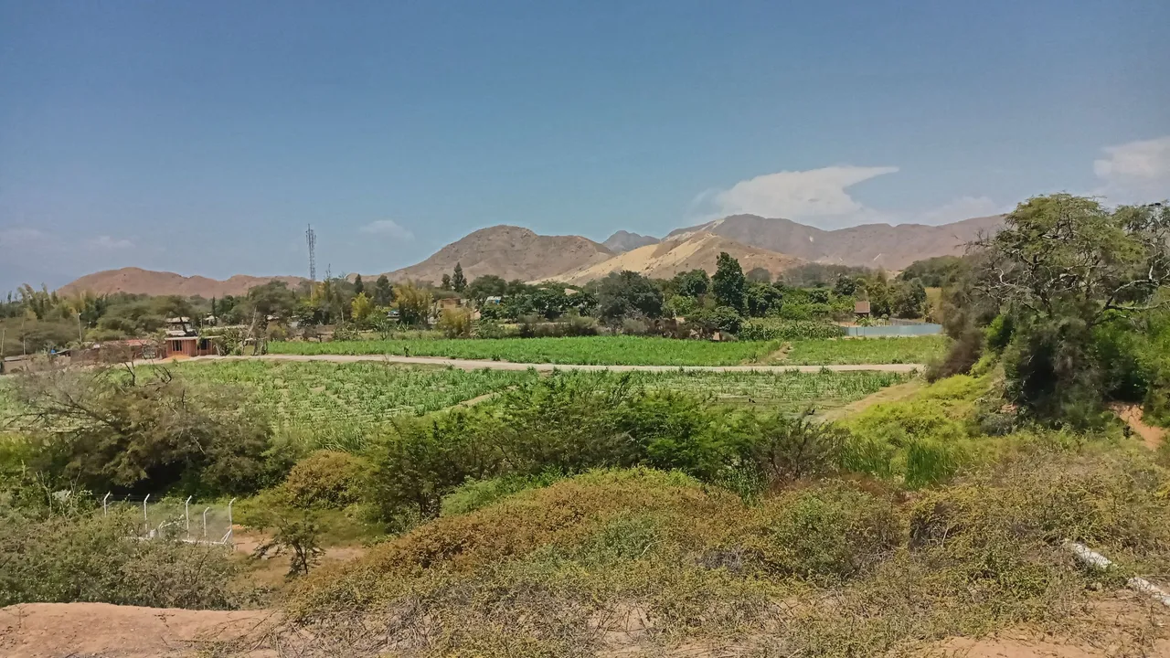IMG_20221009_125842_HDR.jpg
