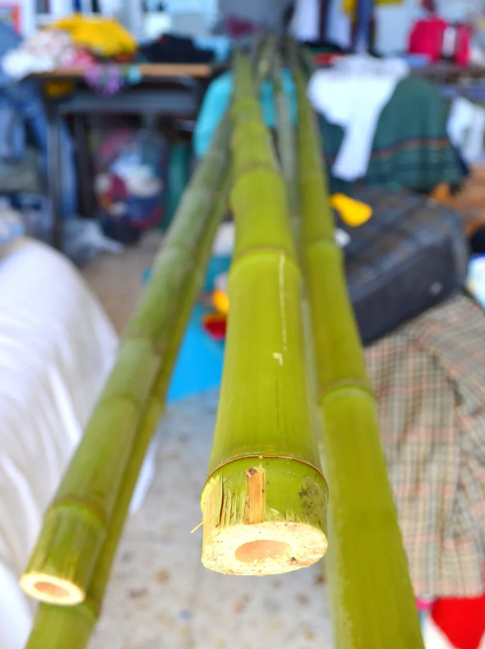 DSC_0013.JPG