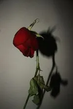 252350895_293453132650293_2327909645286807542_n.jpg