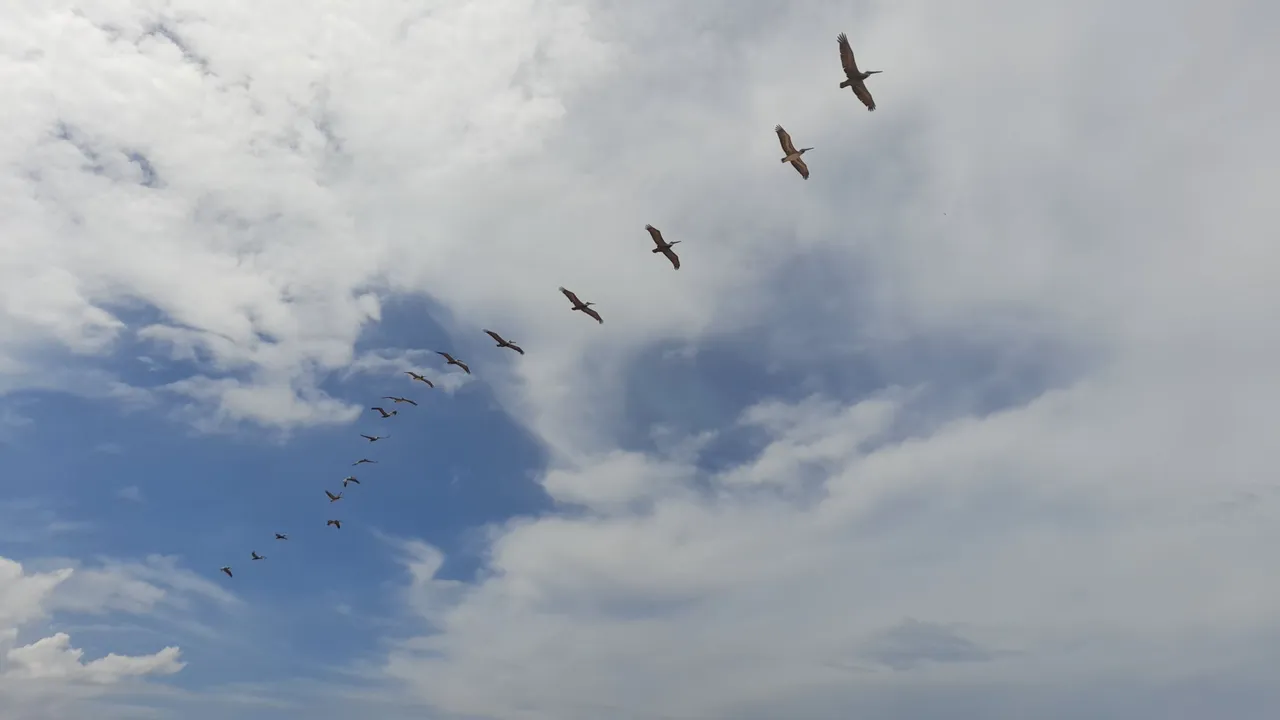 20221029_121951.jpg