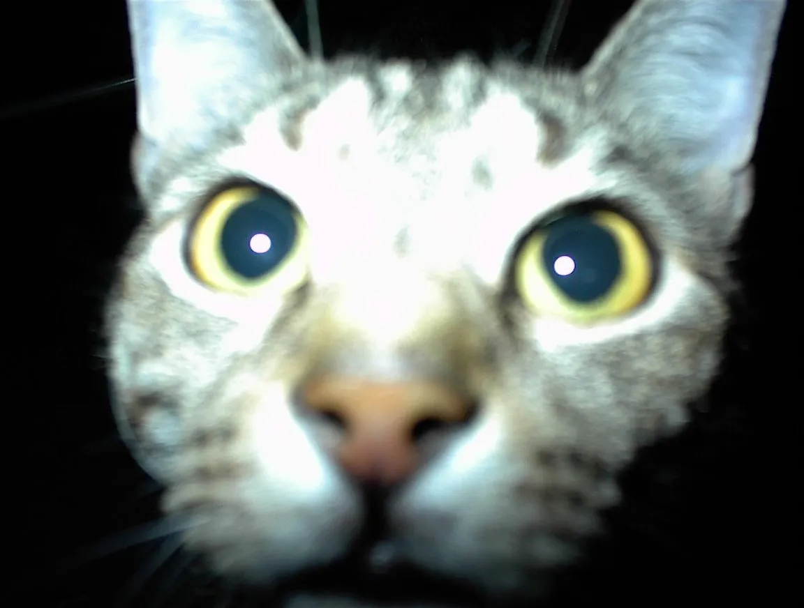 DSC00010.JPG
