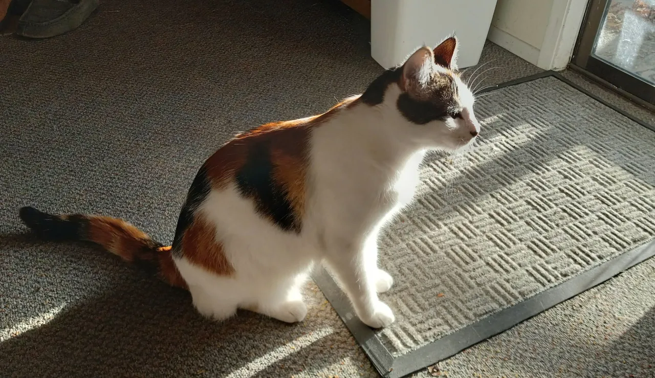 20250610_004551.jpg
