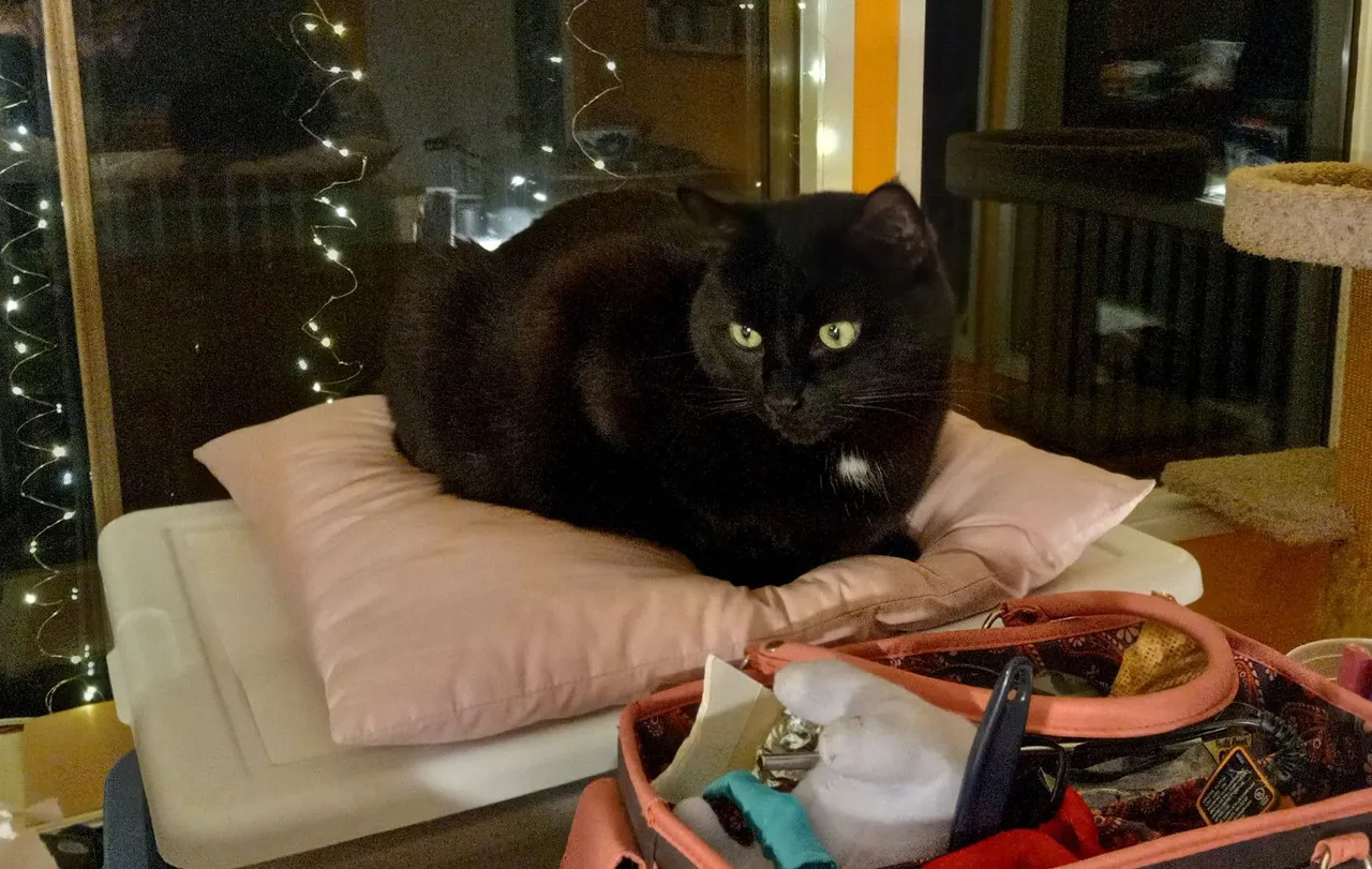 CC0526-Supervising.jpg
