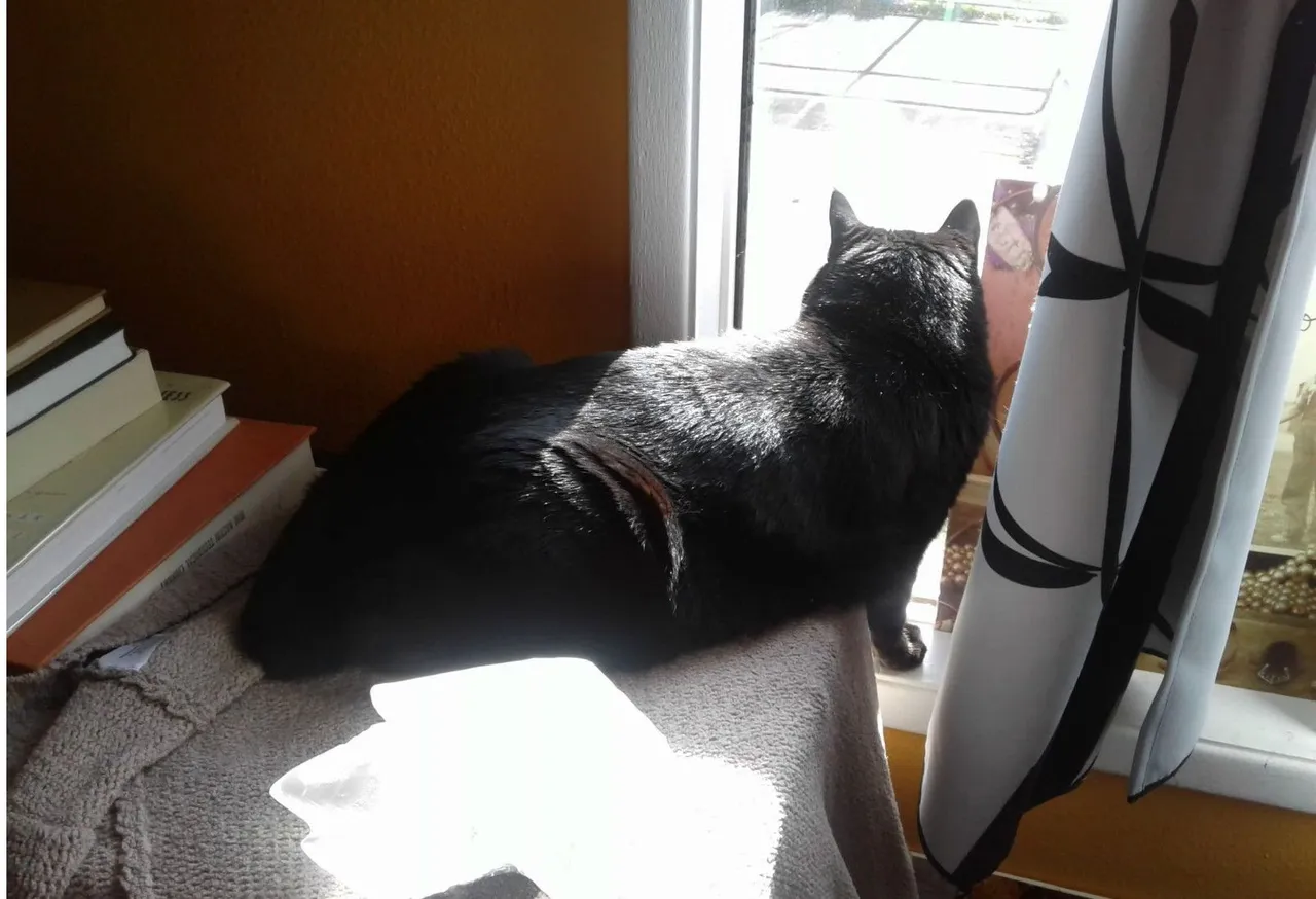 CC0067-Shadow-Window.JPG