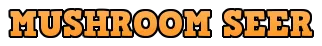 portada 1.png