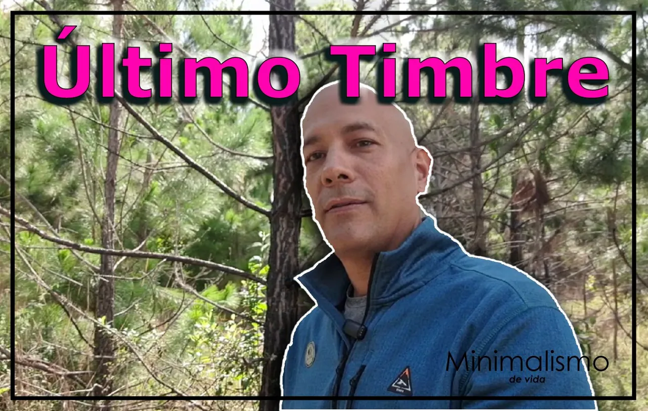 miniaturas timbre.jpg