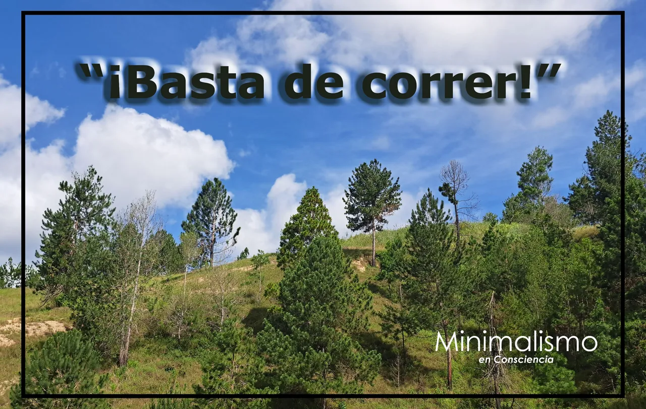 miniaturas copia.jpg