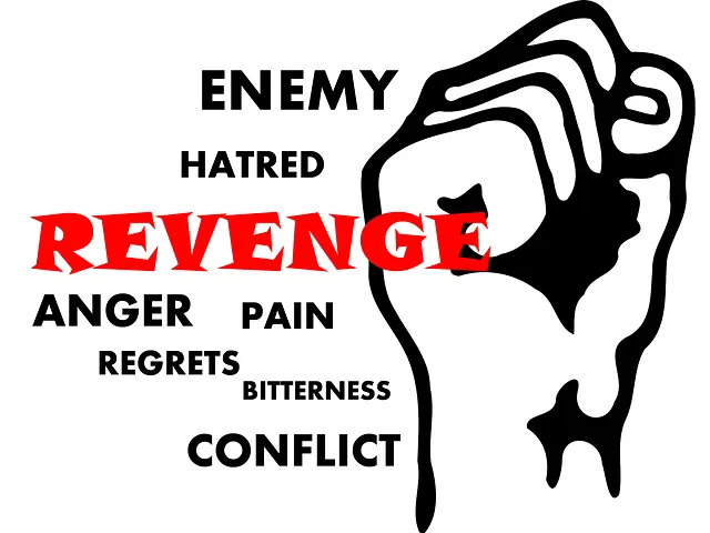 revenge-492560__480 (1).webp