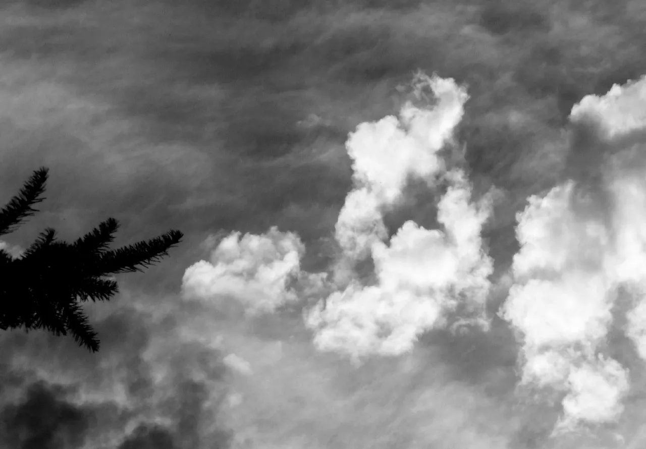 0366-Clouds.JPG