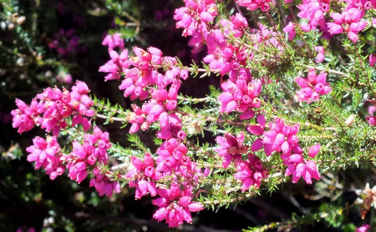 1016-Heather.jpg